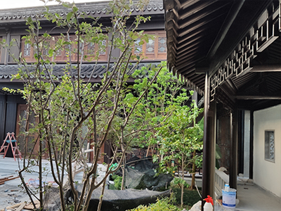 仿古建筑设计