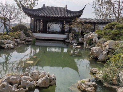 鱼池清洗